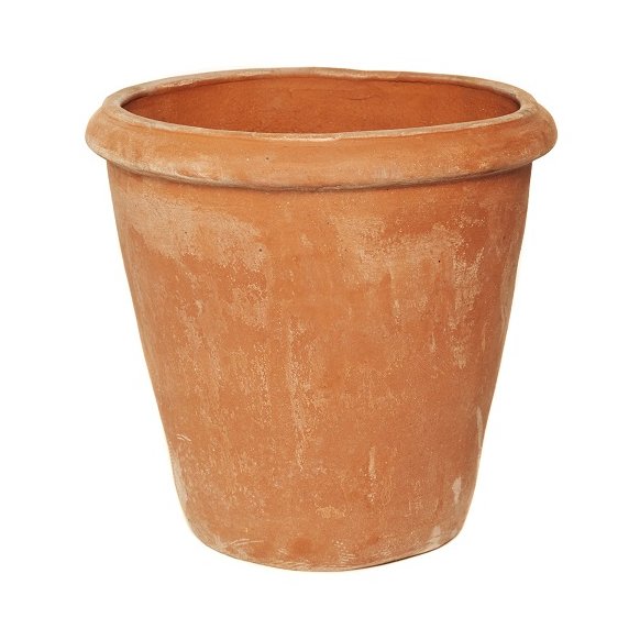 Terracotta Camelia Pot (75Ø x 73cm)